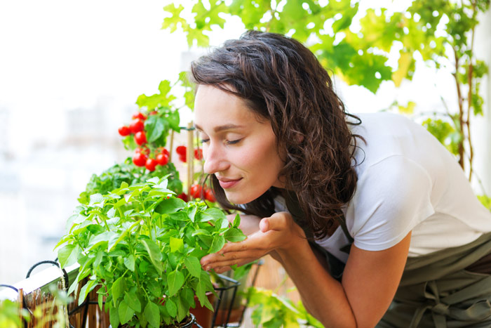 woman smelling tomato plant on patio - sober activities, social distancing