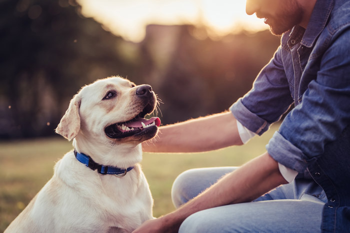 How Pets Can Support Recovery