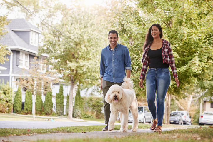 A couple walking their dog.