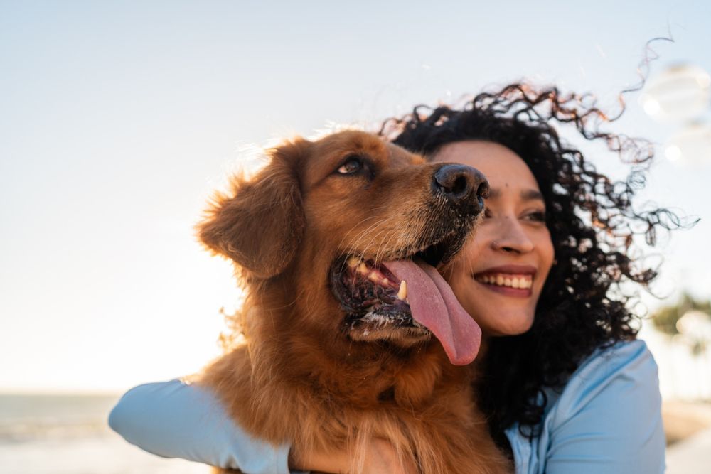 Safe Harbor - Building a Life Around Your Recovery